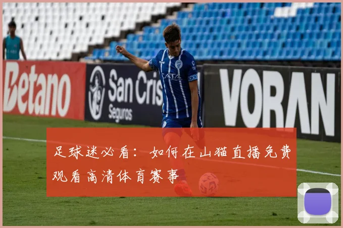 足球迷必看：如何在山猫直播免费观看高清体育赛事